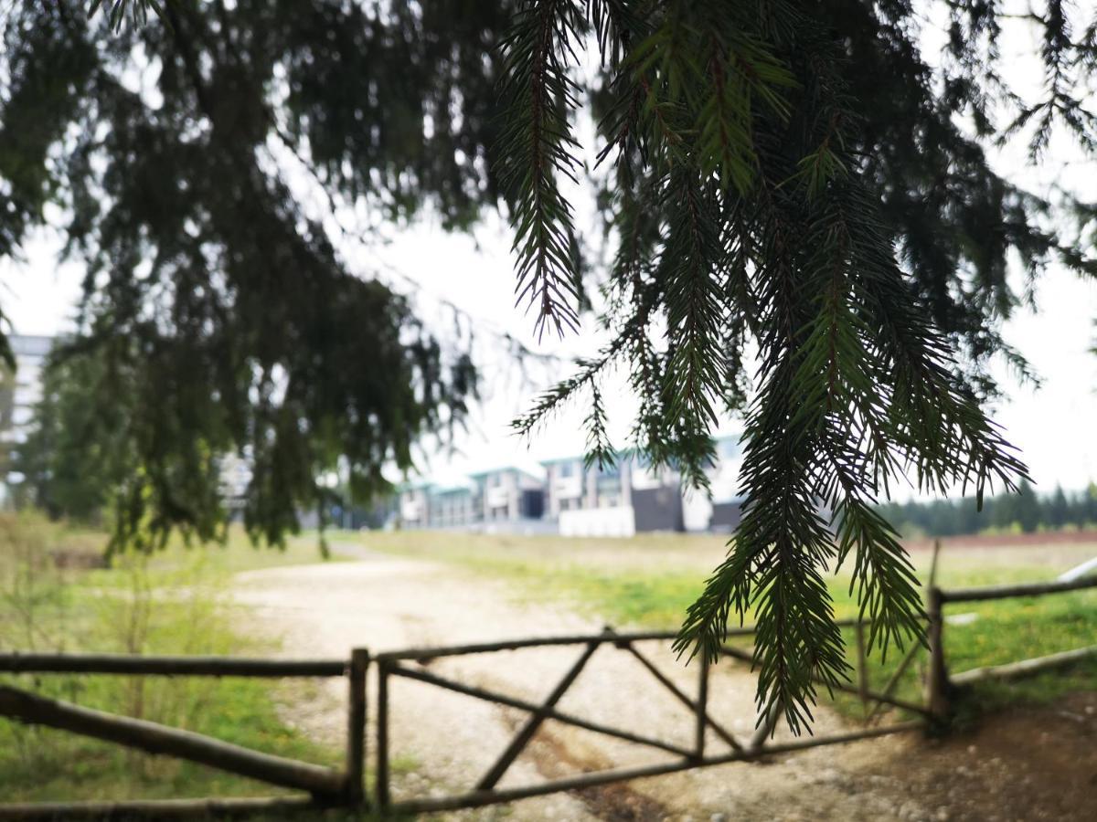 The Evergreen Nest - Silver Mountain Poiana Braşov Dış mekan fotoğraf