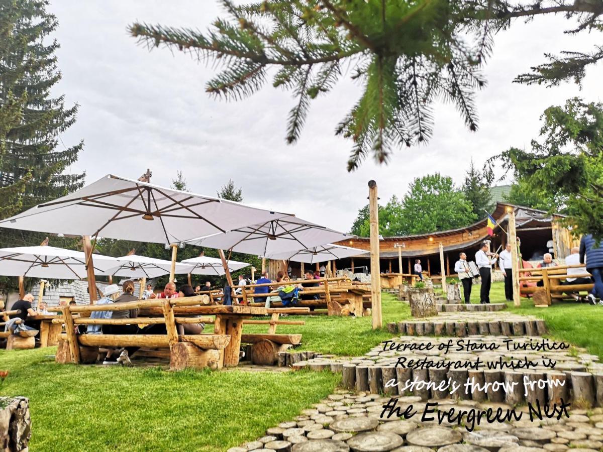 The Evergreen Nest - Silver Mountain Poiana Braşov Dış mekan fotoğraf